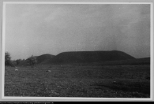 Mały Płock, grodzisko