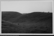 Mały Płock, grodzisko