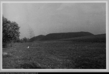 Mały Płock, grodzisko