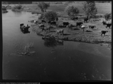 Tykocin, rzeka Narew