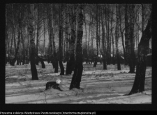 Hajnówka, fabryka terpentyny „Terebenthen”