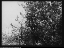 Płonka Kościelna, krzyż żeliwny kuty