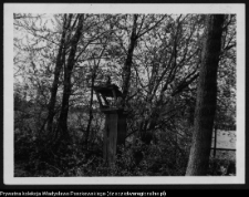 Kapliczki i krzyże wotywne