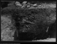 Tykocin, ruiny zamku