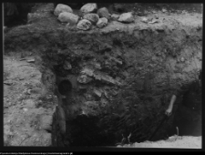 Tykocin, ruiny zamku