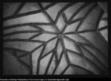 Łomża, katedra p.w. św. Michała Archanioła