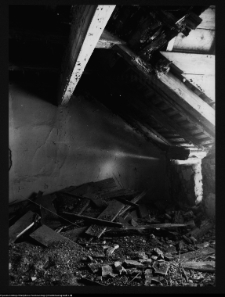 Sztynort, pałac Lehndorff&oacute;w