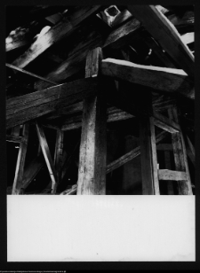 Sztynort, pałac Lehndorff&oacute;w