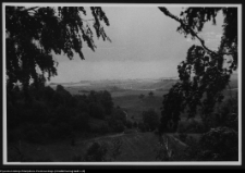 Szurpiły, grodzisko