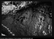 Wizna, G&oacute;ra Zamkowa - badania archeologiczne