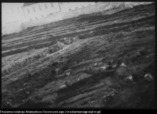 Supraśl, pobazyliański zesp&oacute;ł cerkiewno-klasztorny