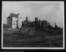 Szczecin, widok na dom Loitz&oacute;w i zamek