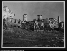 Szczecin, Widok na Zamek Piastowski