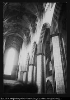 Stargard, kolegiata NMP Kr&oacute;lowej Świata