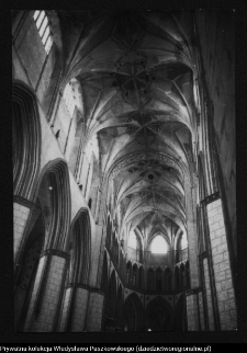 Stargard, kolegiata NMP Kr&oacute;lowej Świata