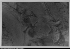 Supraśl, Pałac Opat&oacute;w - sztukaterie