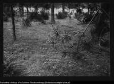 Wigry, zesp&oacute;ł klasztorno-kościelny