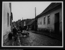 Trzcińsko-Zdr&oacute;j