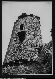 Ogrodzieniec, ruiny zamku