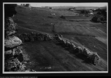 Ogrodzieniec, ruiny zamku