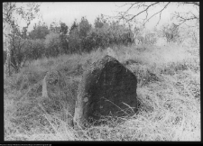 Jasion&oacute;wka, cmentarz żydowski