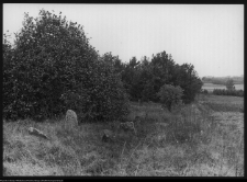 Jasion&oacute;wka, cmentarz żydowski