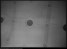 Suchowola, kości&oacute;ł