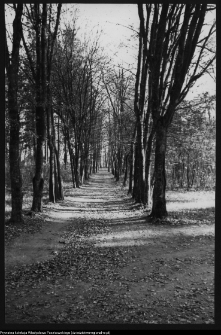 Choroszcz, park pałacowy