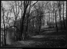 Choroszcz, park pałacowy