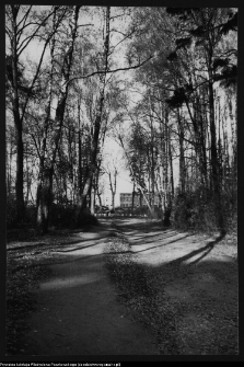 Choroszcz, park pałacowy