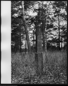 Narew, cmentarz prawosławny