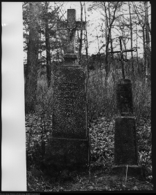 Narew, cmentarz prawosławny