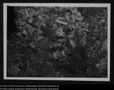 Supraśl, zniszczenia wojenne