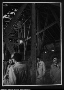 Kołbacz, stodoła gotycka