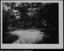 Białystok, park przypałacowy