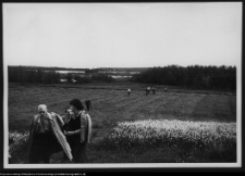 Władysław Paszkowski i jego wsp&oacute;łpracownicy