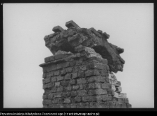 Stara Łomża, grodzisko