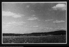 Supraśl, krajobraz nad rzeką