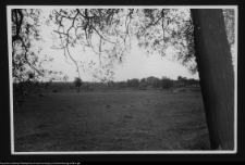 Supraśl, widok na miasto z drogi do Krynek