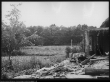 Żabiniec, dw&oacute;r