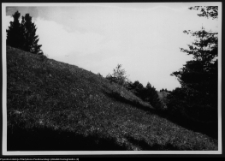 Dybowo, okolice grodziska