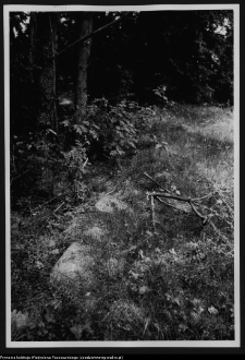 Dybowo, okolice grodziska