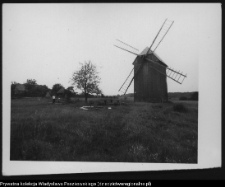 Białowieża, wiatrak