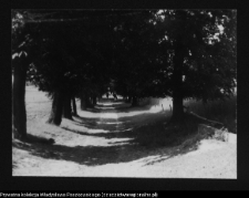 Janowicze, pozostałości zespołu dworsko-parkowego