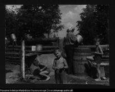 Janowicze, pozostałości zespołu dworsko-parkowego