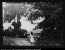 Janowicze, pozostałości zespołu dworsko-parkowego