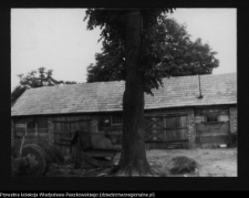 Janowicze, pozostałości zespołu dworsko-parkowego