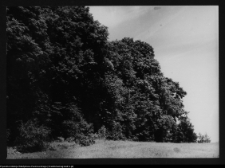 Hołny Mejera (Majera), ogr&oacute;d przy dworze