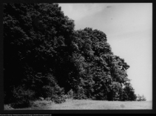 Hołny Mejera (Majera), ogr&oacute;d przy dworze