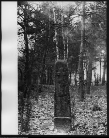 Trześcianka, cmentarz prawosławny